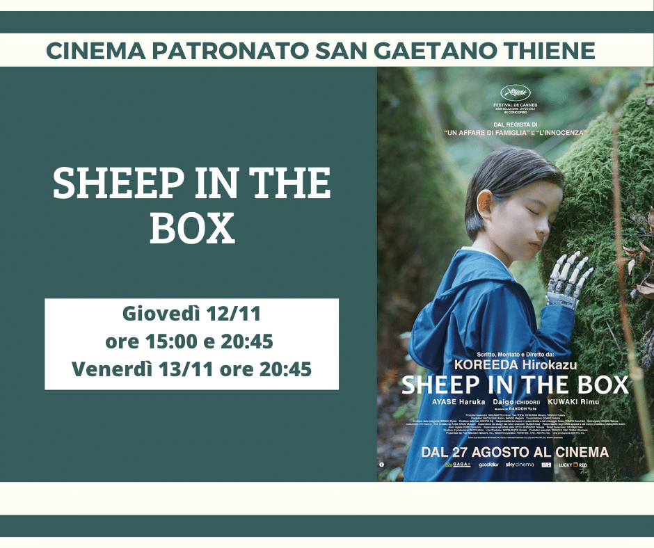 Sheep in the Box